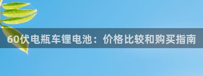 尊龙凯时 - 人生就是搏!：60伏电瓶车锂电池：价格比较和购买指南