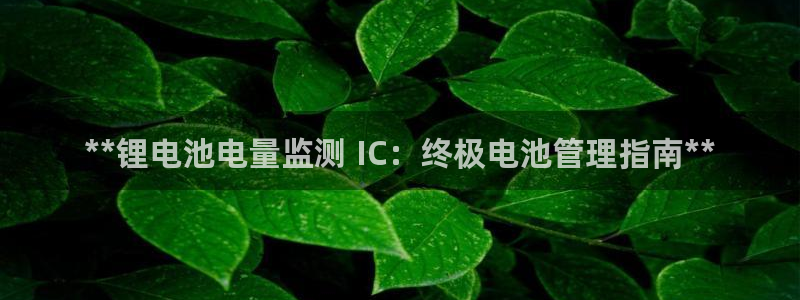 尊龙凯时登录：**锂电池电量监测 IC：终极电池管理指南**