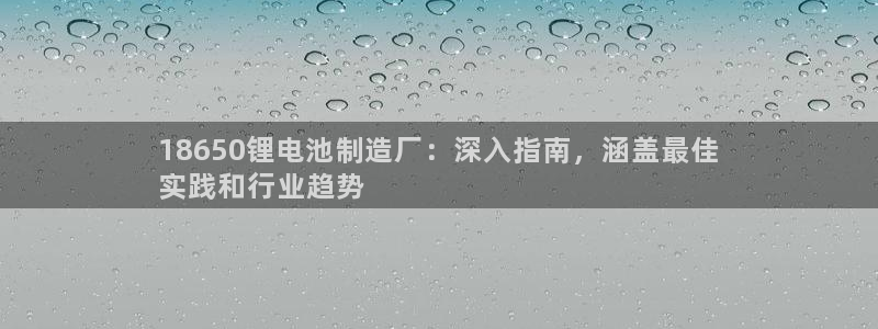 尊龙凯时城娱乐：18650锂电池制造厂：深入指南，涵盖最佳
实践和行业趋势