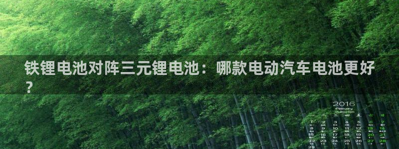 尊龙官网免费下载安卓：铁锂电池对阵三元锂电池：哪款电动汽车电池更好
？